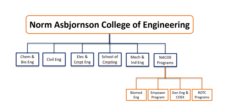 College and Programs Organizational Chart
