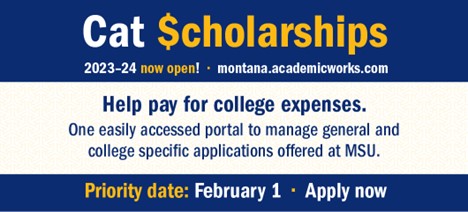Cat Scholarships portal open November 1 to Feb 1
