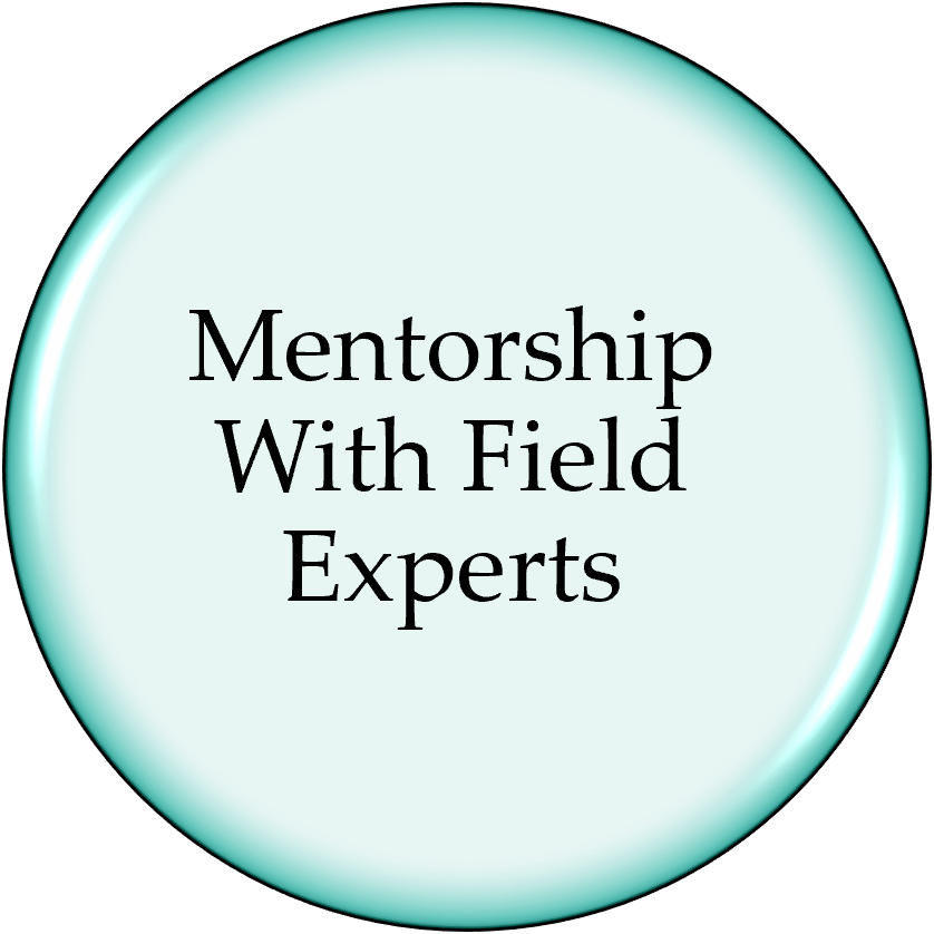 Mentorship with Field Experts